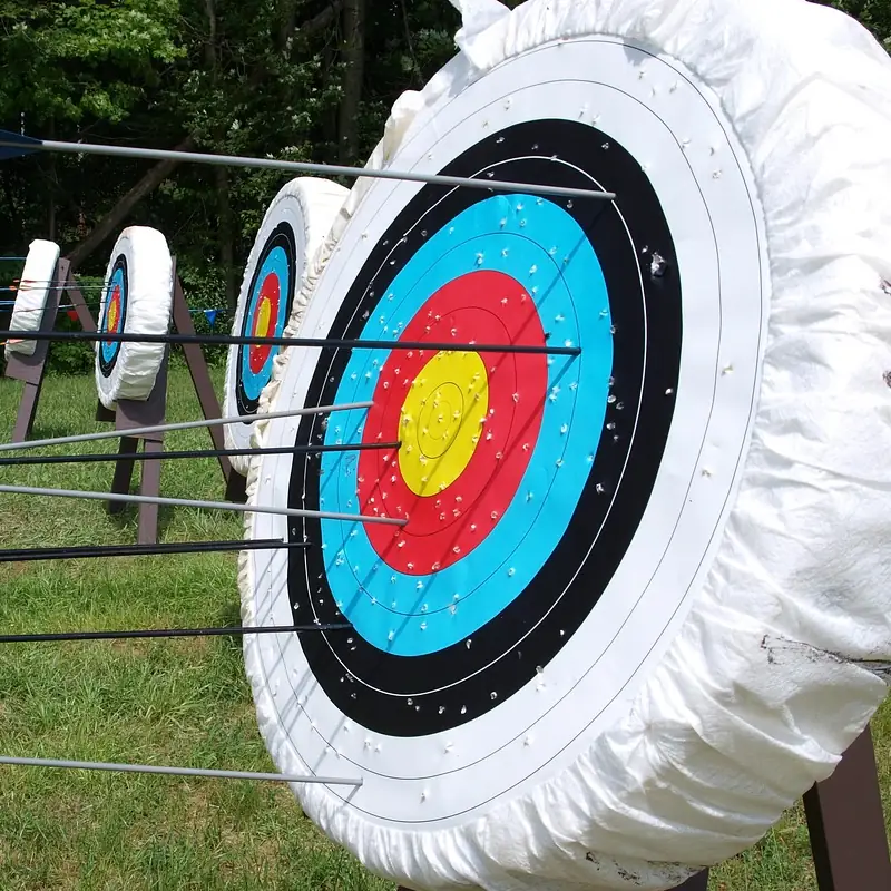 Continuous Optimization